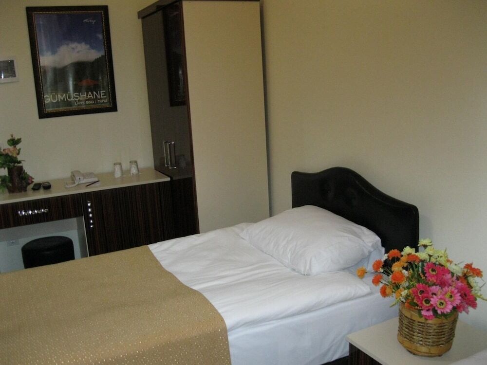 Гюмюшхане: Harsit Otel