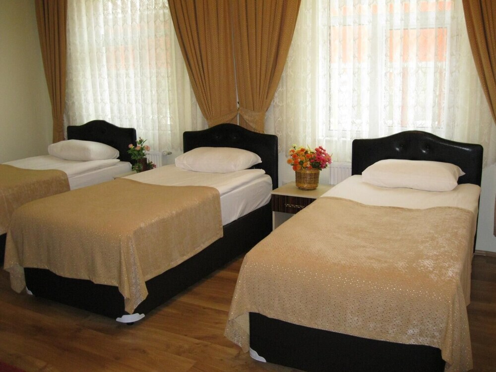 Гюмюшхане: Harsit Otel