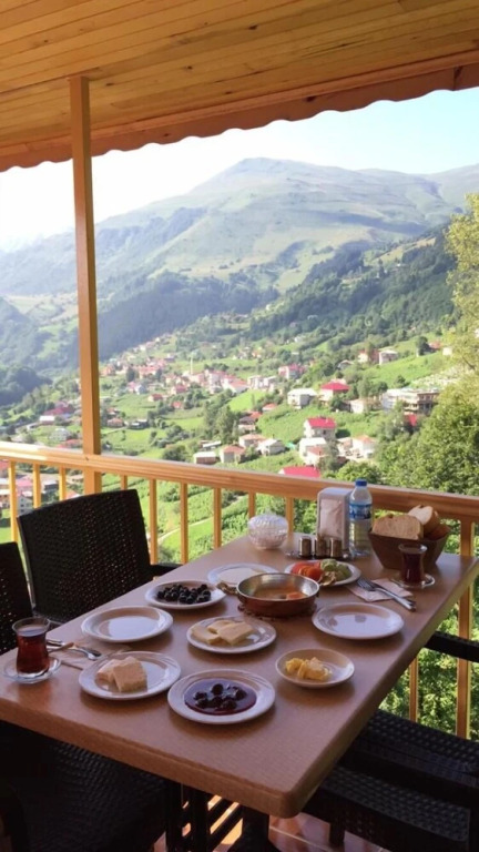 Гюмюшхане: Seyirtepe Butik Otel