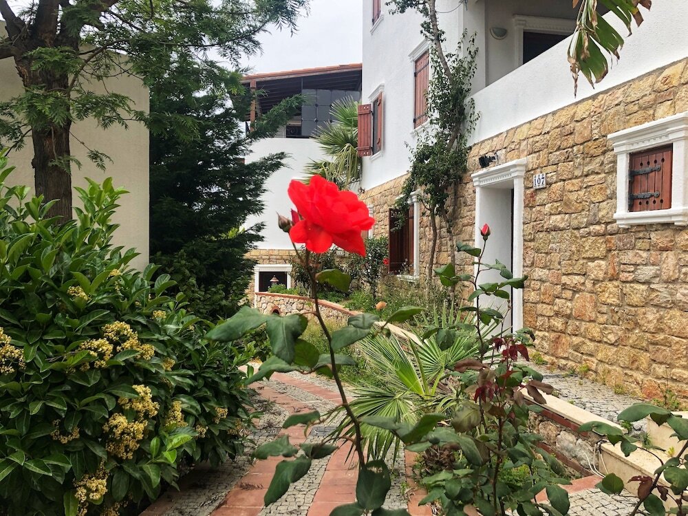 Коюнбаба: Arion Resort Hotel