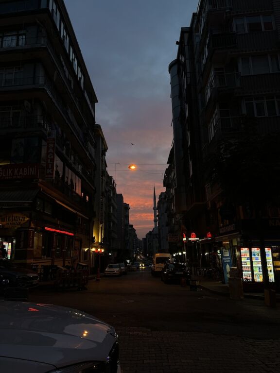 Стамбул: Elit Palace Hotel