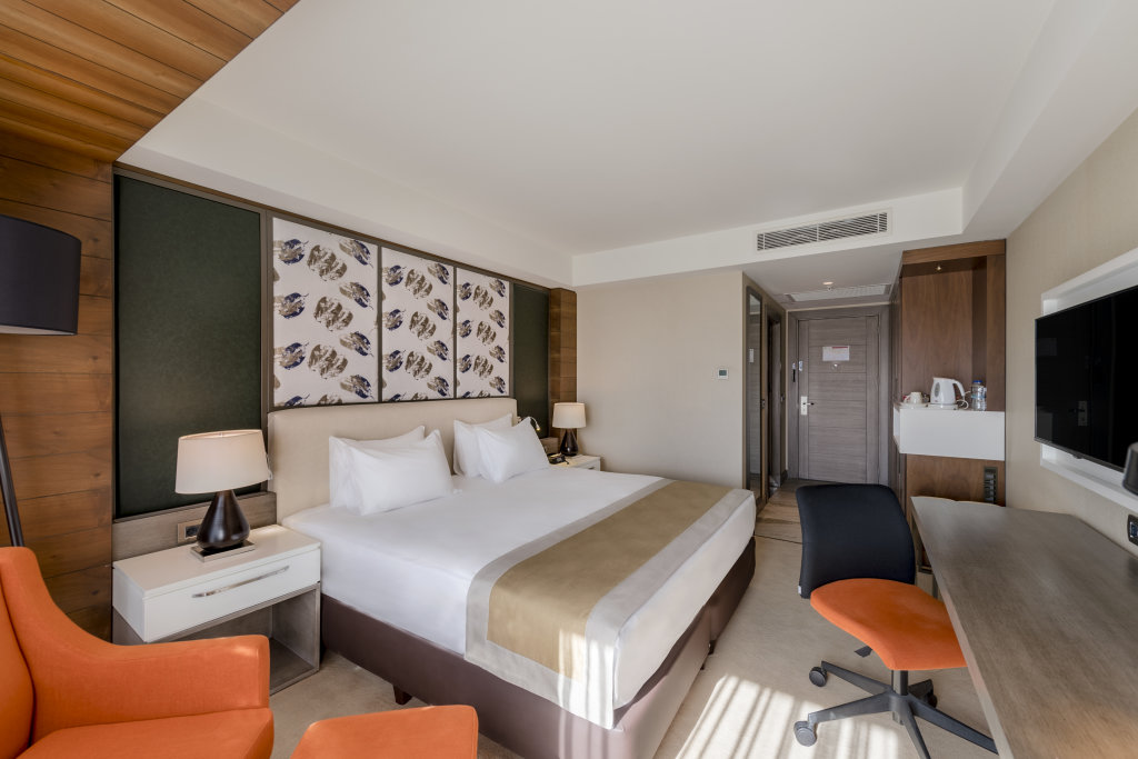 Кайсери: Holiday Inn Kayseri Duvenonu