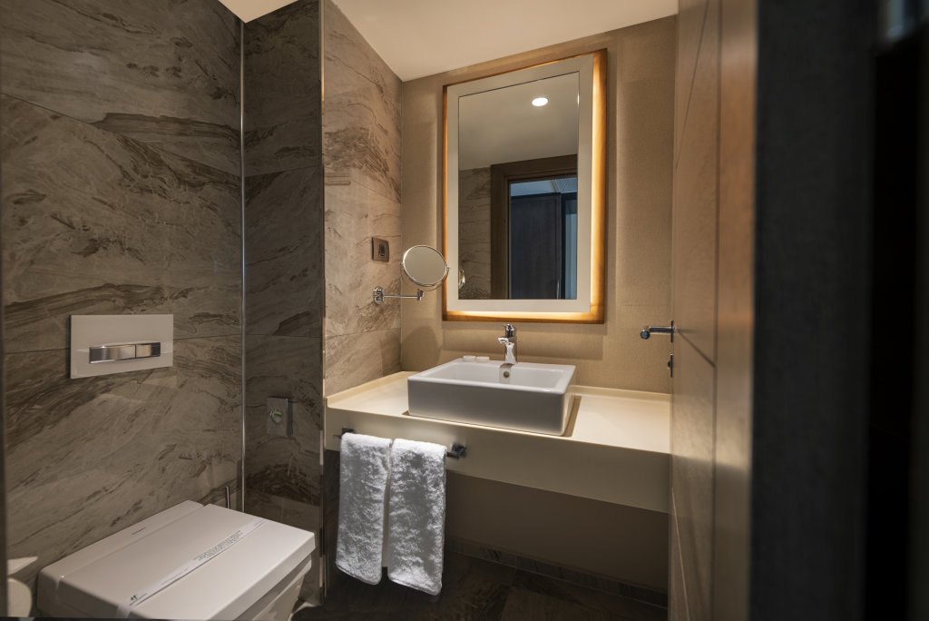 Кайсери: Holiday Inn Kayseri Duvenonu