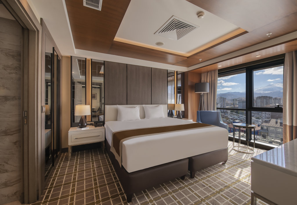 Кайсери: Holiday Inn Kayseri Duvenonu