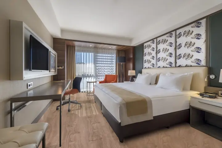 Кайсери: Holiday Inn Kayseri Duvenonu