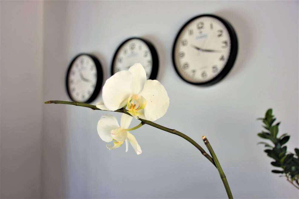 Бодрум: Modern Life Bodrum Otel