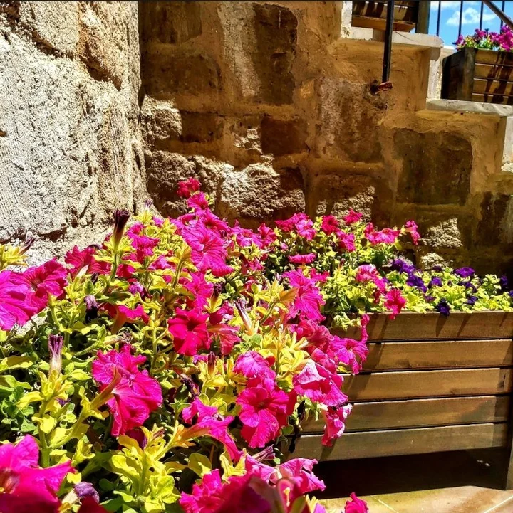 Ургуп: Бутик-отель Vigneron Cave Hotel