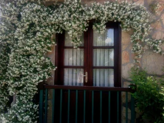 Дальян: B&B Butik Hotel