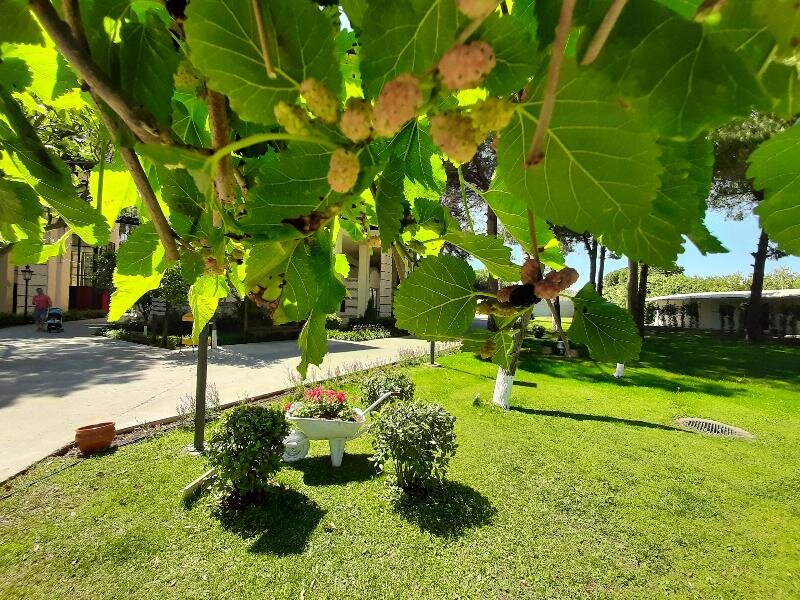 Белек: Tui Fun & Sun Club Belek Hotel - All Inclusive