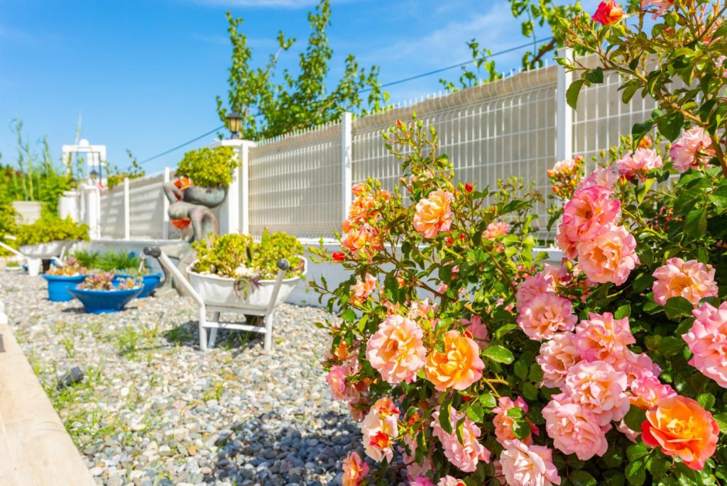 Дальян: Villa Mina Large Private Pool A C Wifi Car Not Required Eco-friendly - 2834