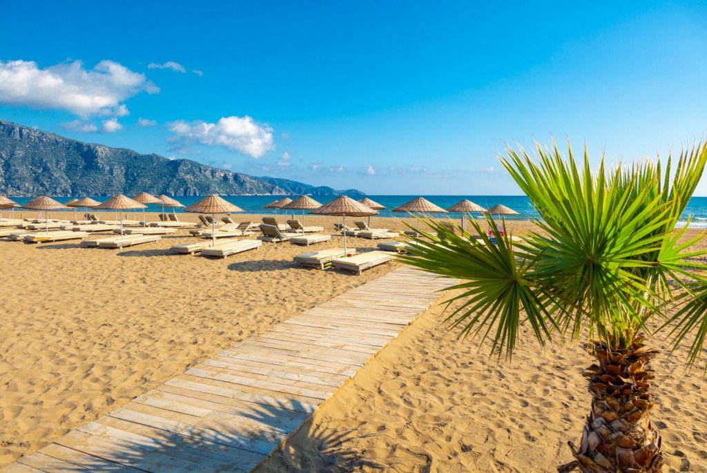 Дальян: Villa Mina Large Private Pool A C Wifi Car Not Required Eco-friendly - 2834