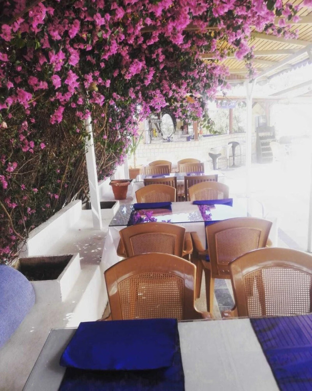 Бодрум: Eski Cesme Apart Butik Otel
