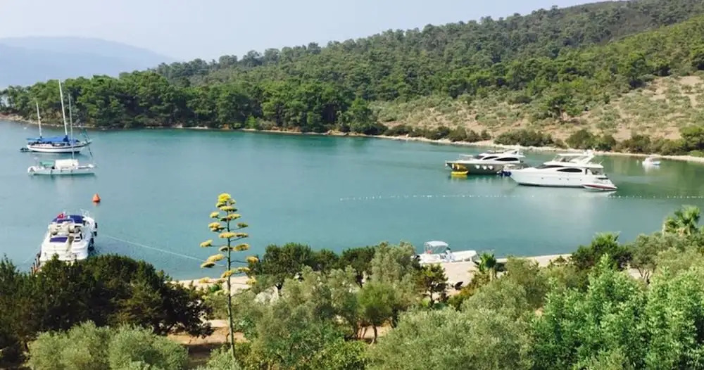 Мугла: Vhillas Private Luxury Villa Leo