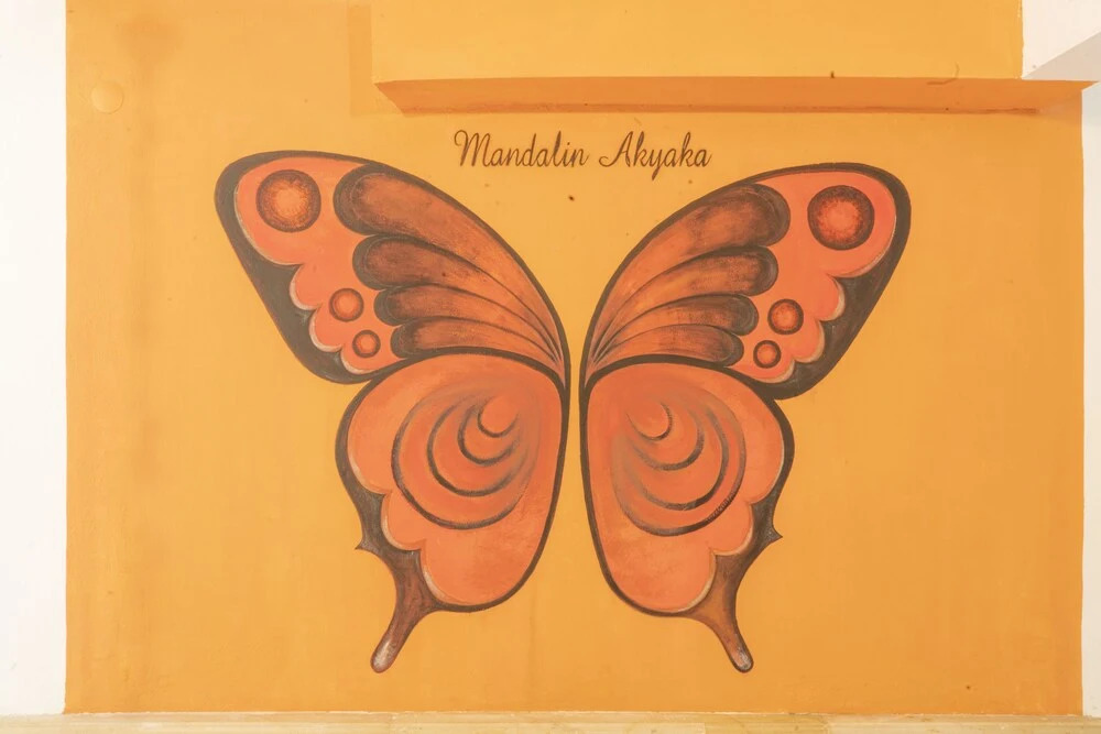 Акьяка: Mandalin Akyaka Hotel
