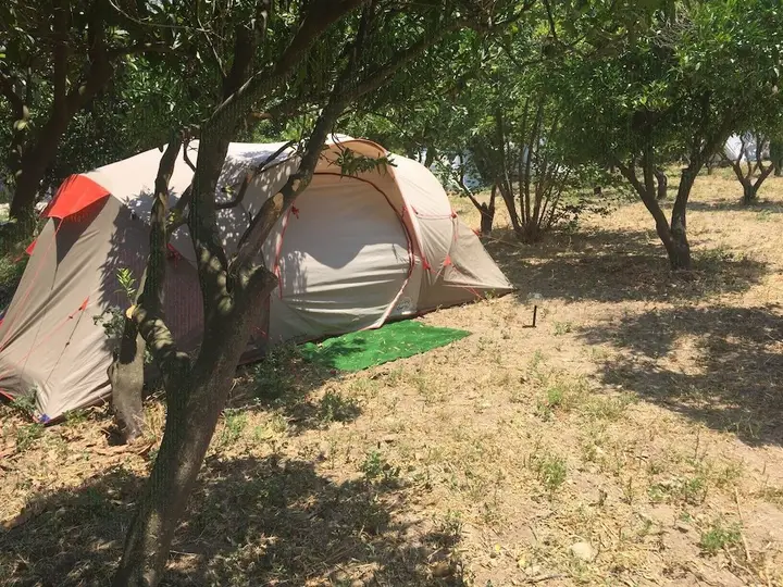 Bodrum Masali Camping - Hostel — фото 2