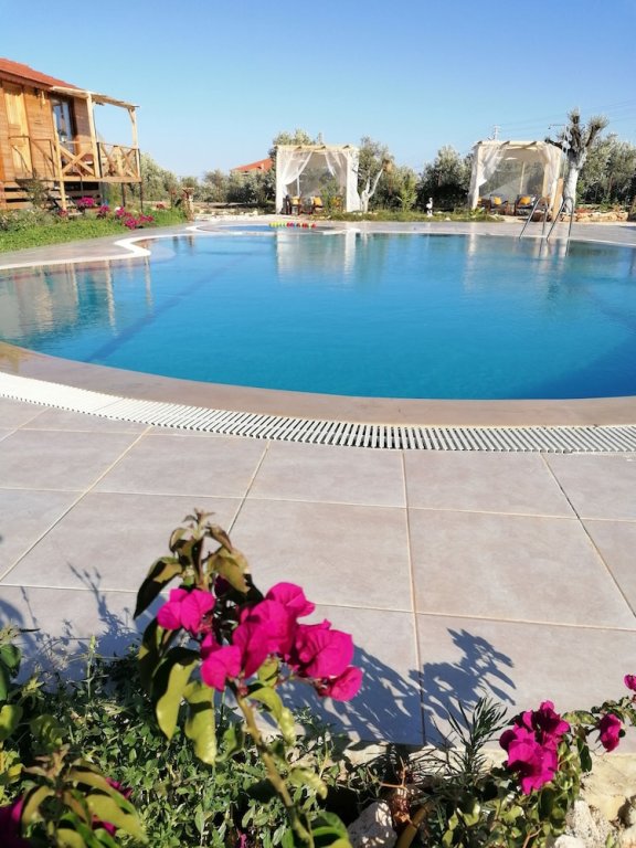 Каш: Habesa Bungalov & Apart Pansiyon