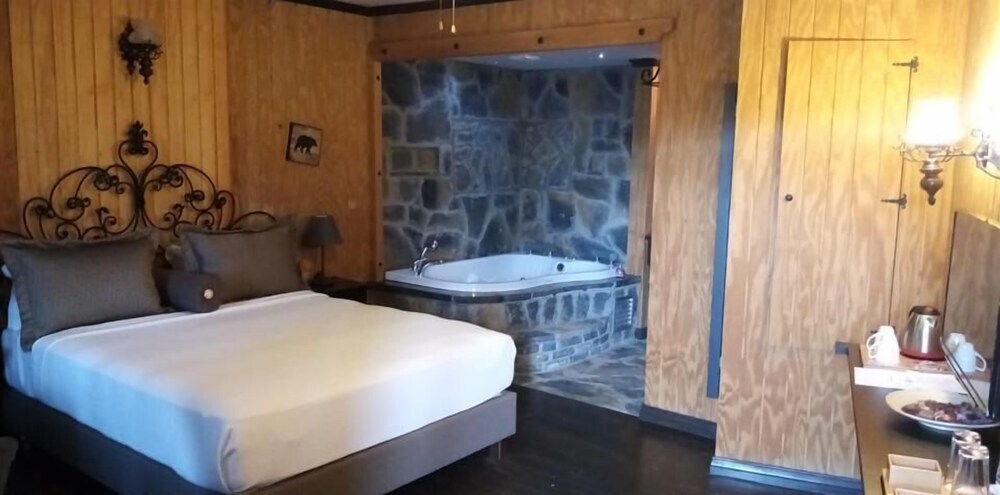 Сайл: The Swanpark Hotel