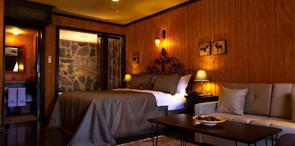 Сайл: The Swanpark Hotel