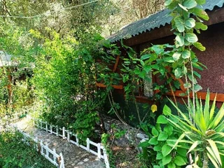 Кумлуджа: Canario Bungalows Pension