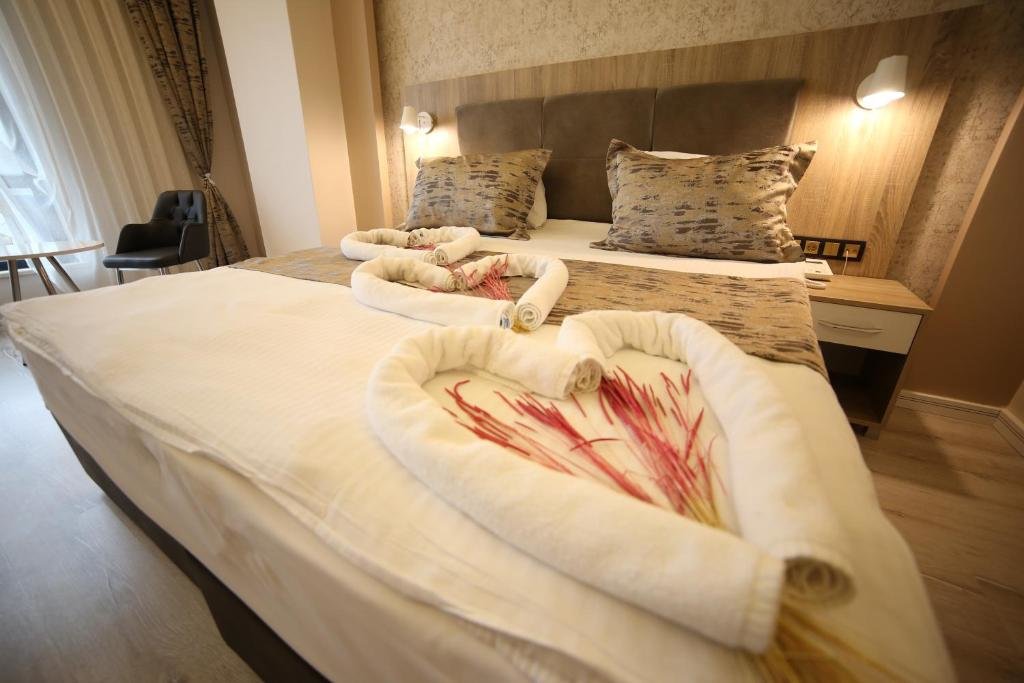 Афьон-Карахисар: Ema Ozturk Thermal Hotel
