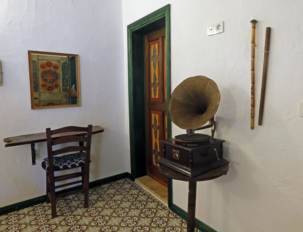 Зейтинликой: Mustafa'nin Fidan'i