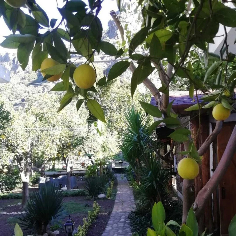 Кумлуджа: Relax Point Boutique Pension