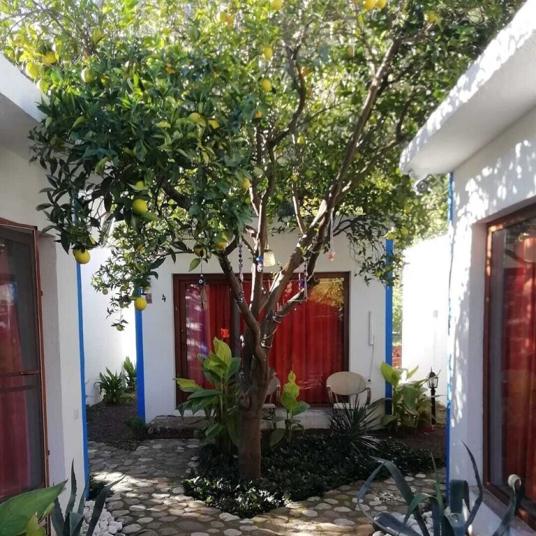 Кумлуджа: Relax Point Boutique Pension