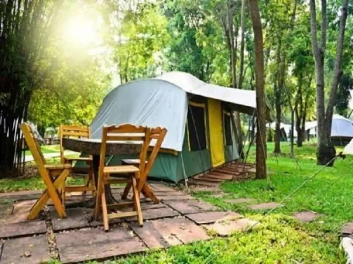 Дикили: Dikili Papaya Evleri Tatil Koyu