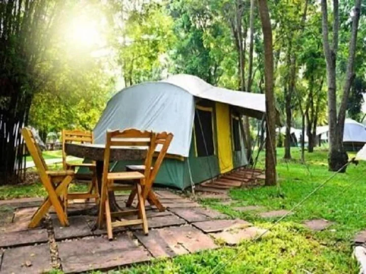 Дикили: Dikili Papaya Evleri Tatil Koyu