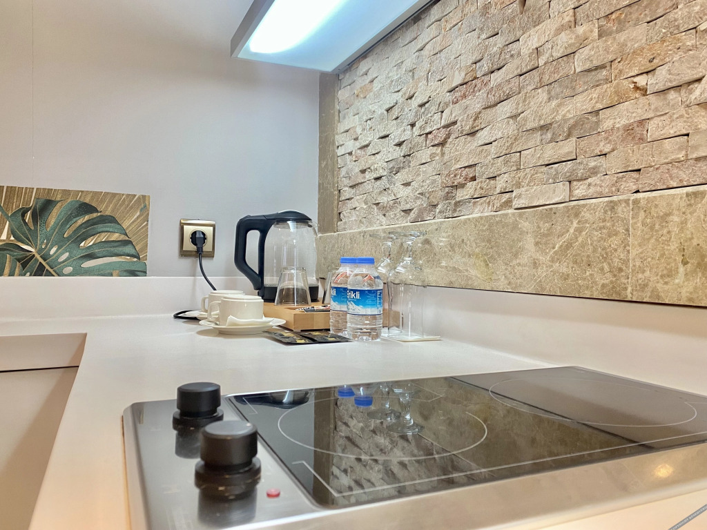 Эдирне: Blackmoon Villa Edirne