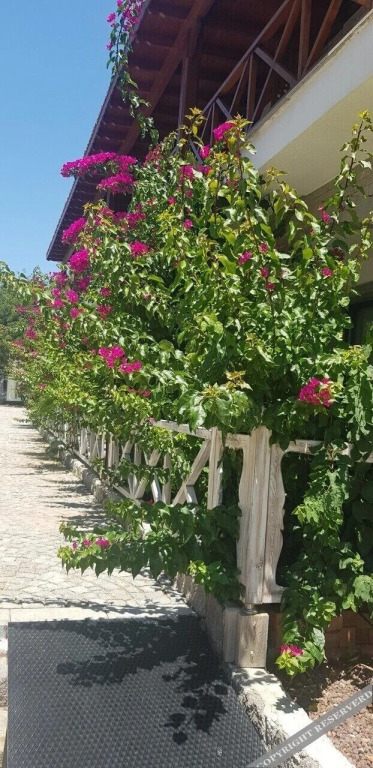 Бодрум: Mausolos Beach Hotel