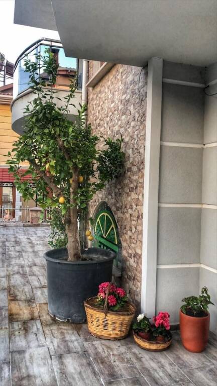 Айвалык: Cunda Limon Otel