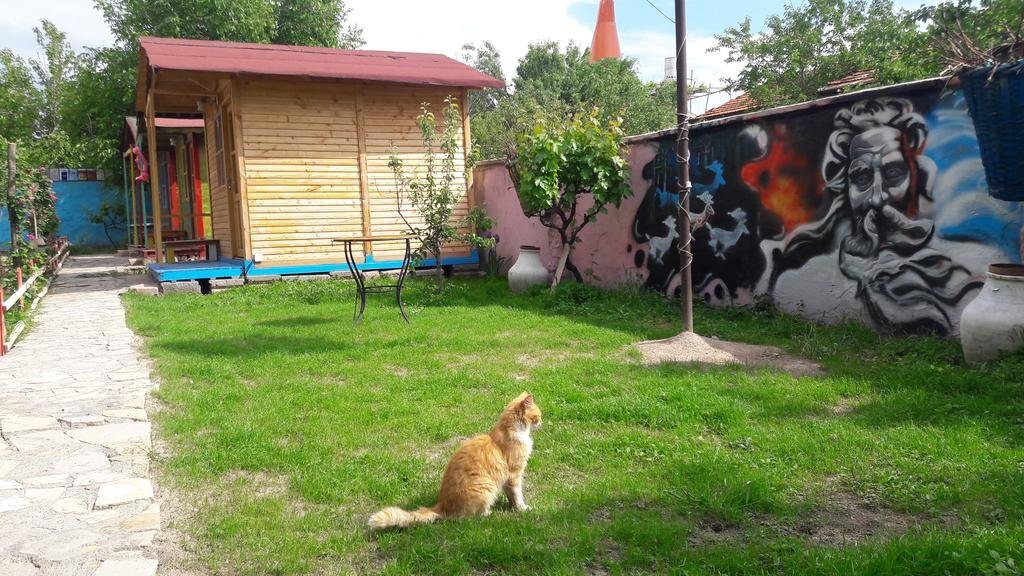 Учисар: Hotel Philosophia