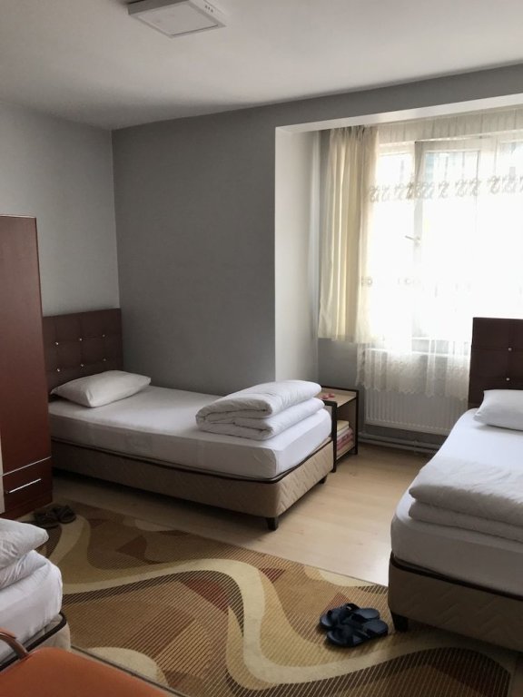Эрзурум: Ari Hotel