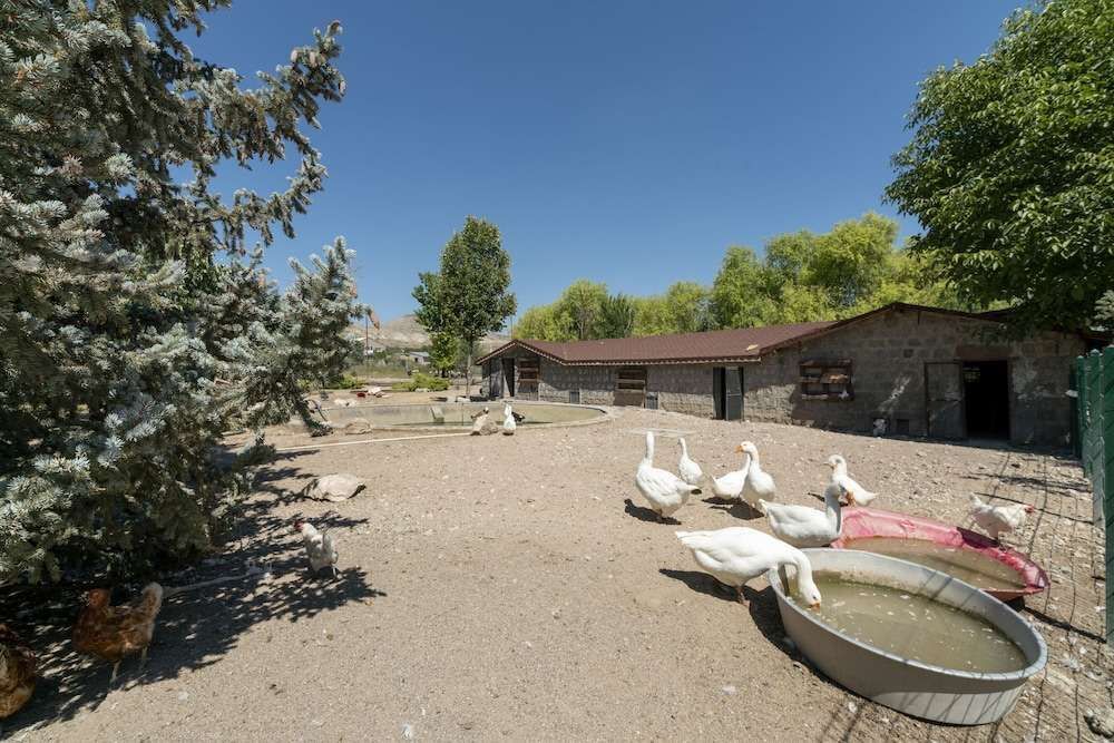 Кайсери: Sunolus Vineyard House