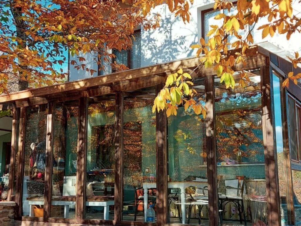 Салихли: Torrhebia Dag Evi