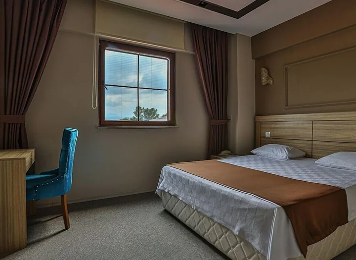 Орду: Grand Ayzek Otel