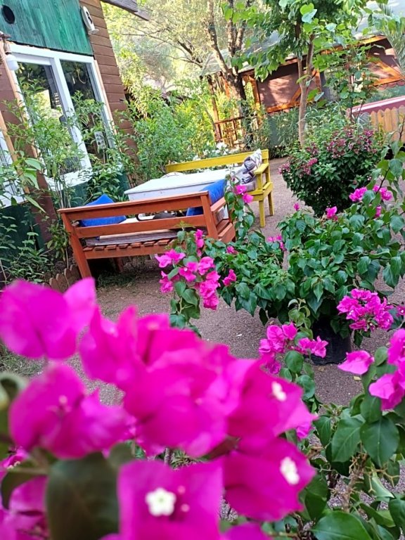 carousel image 3