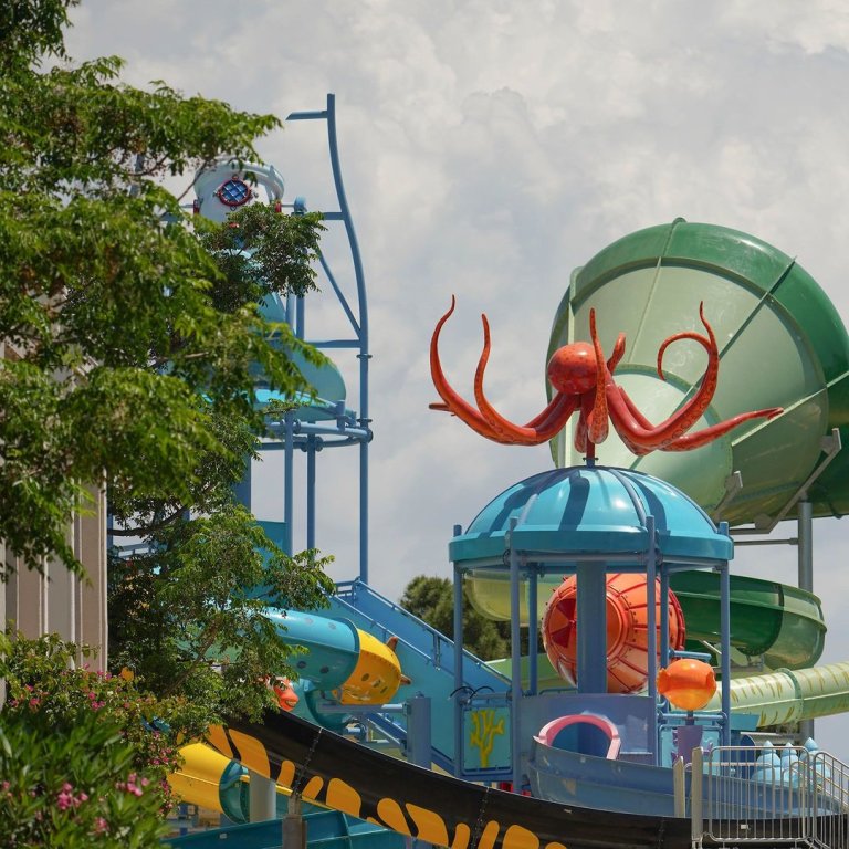 Капикири: Duja Didim Hotel