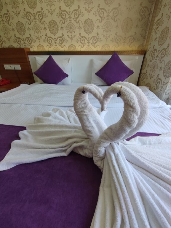 Токат: Plevne Otel
