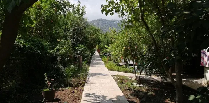 Чиралы: La Boutique Hemerans Çıralı