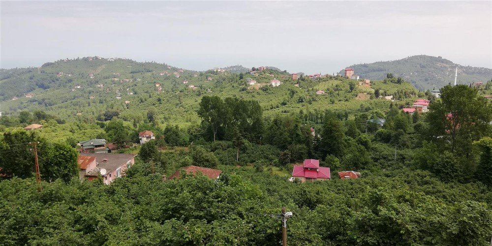Йомра: Villa Irem & Zeynep