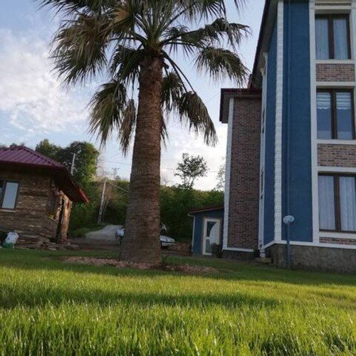 Йомра: Villa Irem & Zeynep