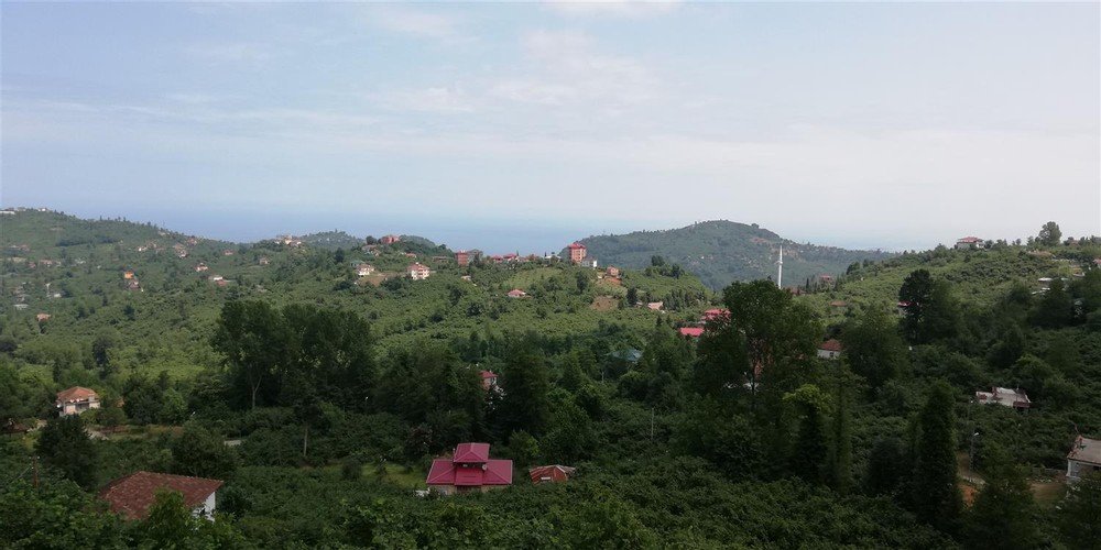 Йомра: Villa Irem & Zeynep