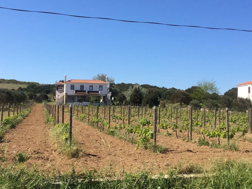 Бозджаада: Casa Mini Bozcaada