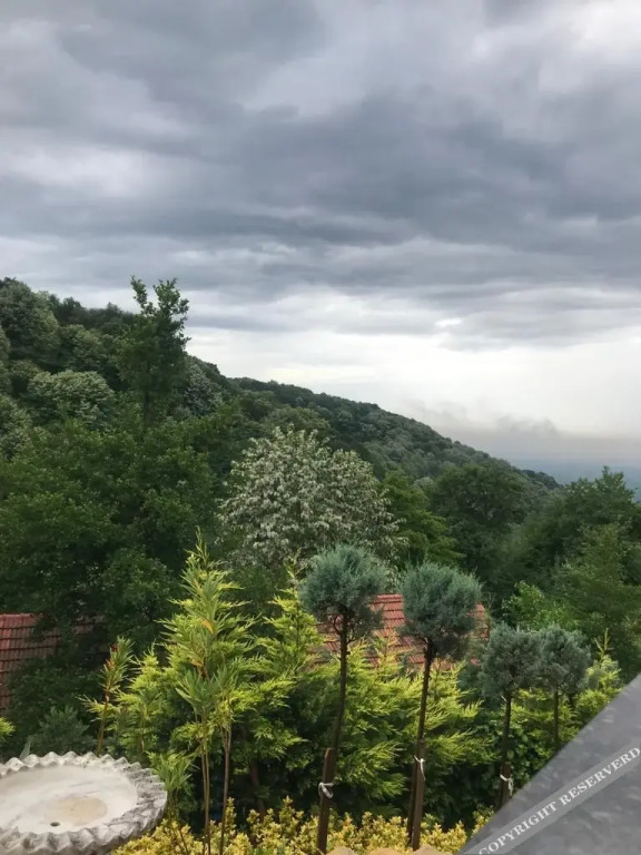Янык: The Canyon Kartepe and Restoran