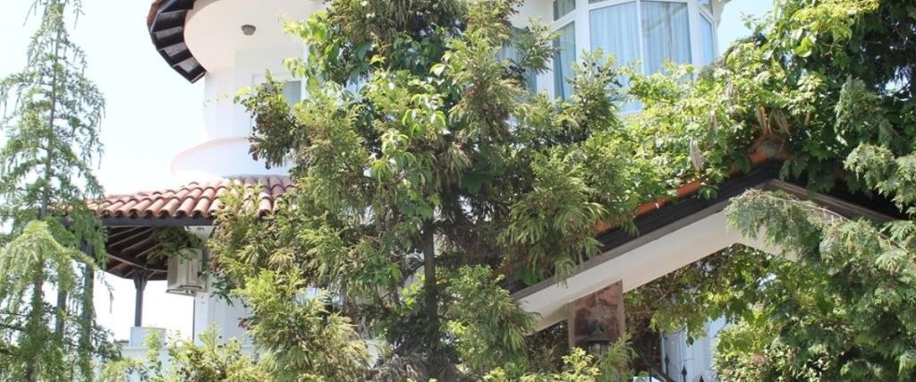Синоп: Mimoza Otel & Pansiyon