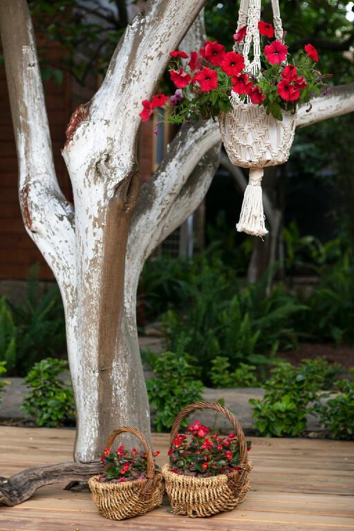 Кумлуджа: Gayb-i Bungalows by Naturelife - Free Access to Beach
