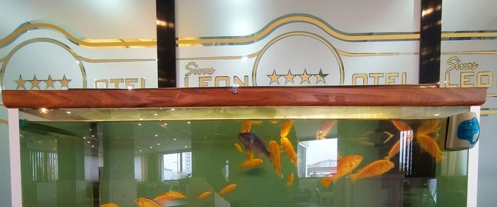 Сивас: Sivas Leon Hotel