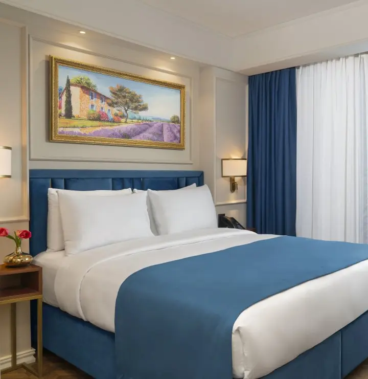 Стамбул: Royan Hotel Hagia Sophia Istanbul, A Member Of Radisson Individuals
